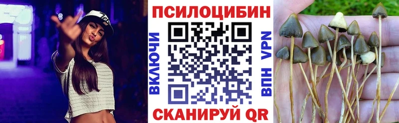 Псилоцибиновые грибы GOLDEN TEACHER Кондопога