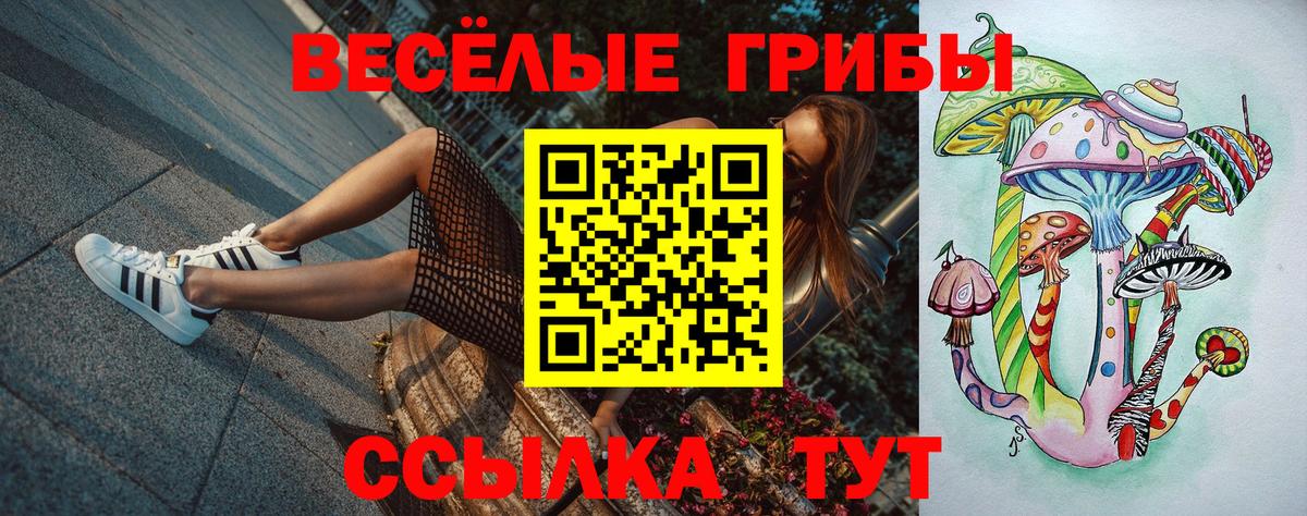 Галлюциногенные грибы Cubensis  Вход с VPN  Кондопога  купить закладку  Псилоцибиновые грибы мухоморы 