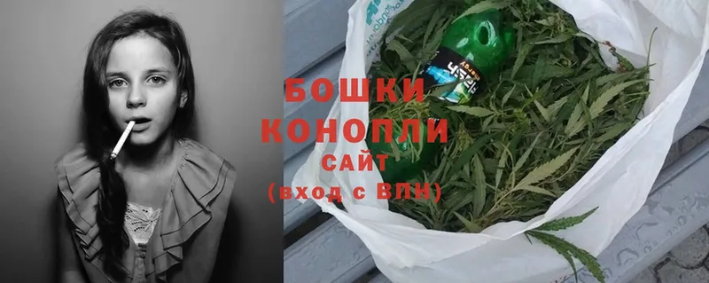 магазин продажи наркотиков  Кондопога  Бошки Шишки SATIVA & INDICA 